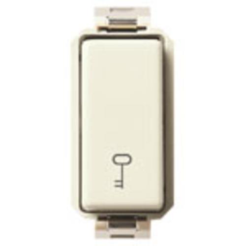 Tipkalo simbol ključ 1P NO 10A