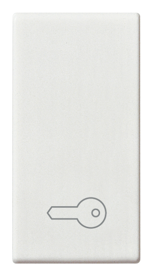 Tipka stikala simbol ključ 14021.P