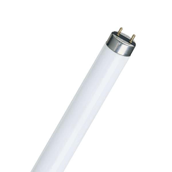 Žarnica fluo 58W/840 Philips