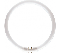 Žarnica Circular 22W/840