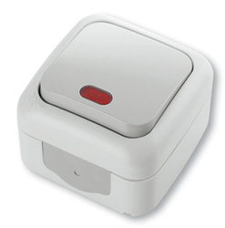 Stikalo n/o enopol. osvetl. PALMIYE sivo