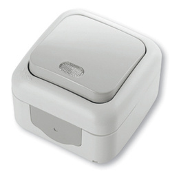 Tipkalo n/o osvetljeno PALMIYE sivo