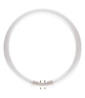 Žarnica fluo TL5 Circular 55W/830 2GX13