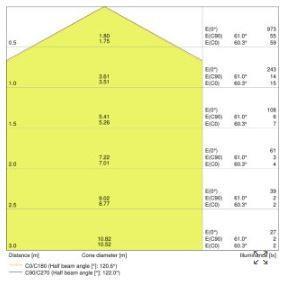 Svetilka plafonjera C-250 13W/4000K IP44