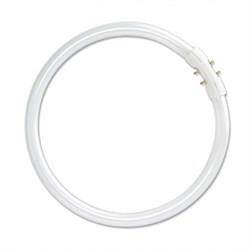 Žarnica fluo 14w/840 T5 lumilux 16mm