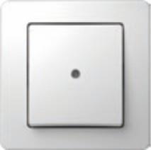 Stikalo EKONOMIK navadno 10A tlivka